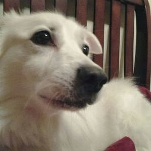 Meet your Posher, Joanne